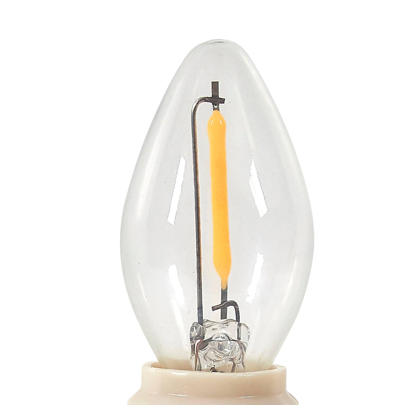 Pink Murex Night Light