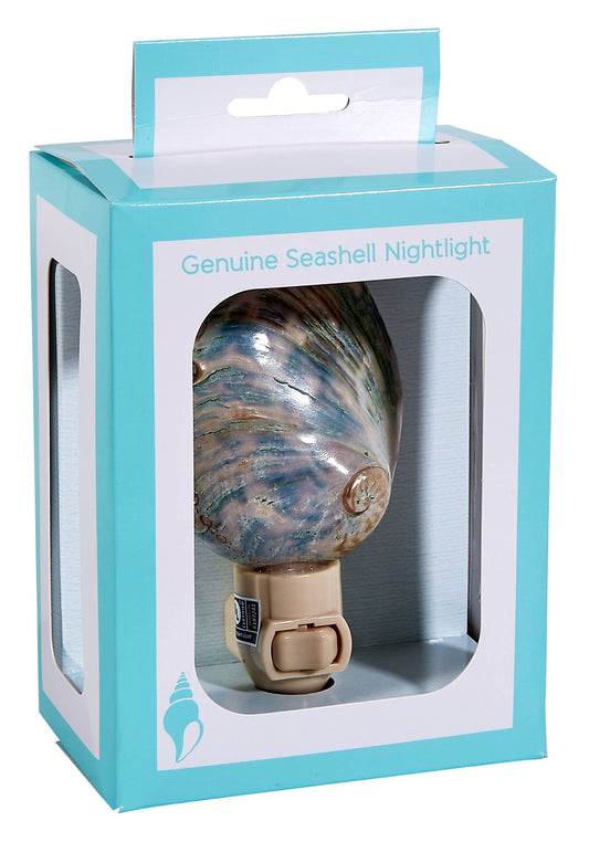 Polished Greenlip Abalone Night Light