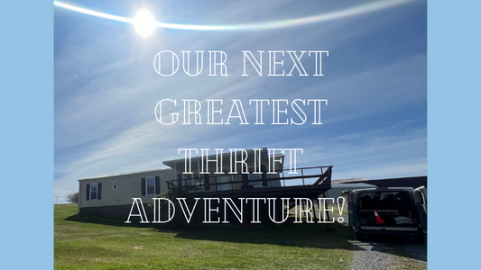 Greatest Thrift Adventure: Let's Start a Short Term Rental!