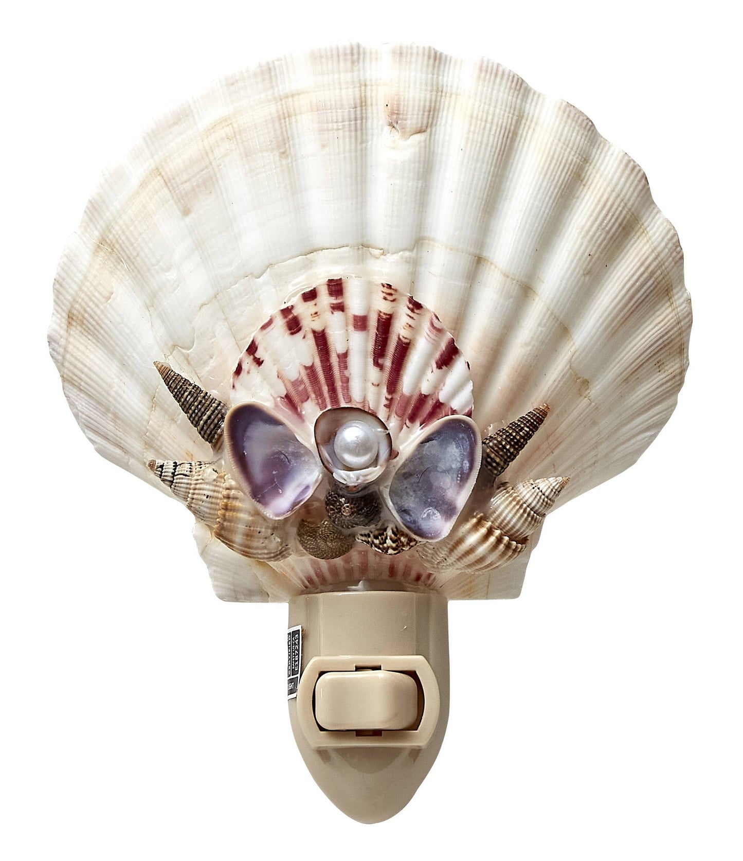 Irish Deep w/ Clam Crown Night Light