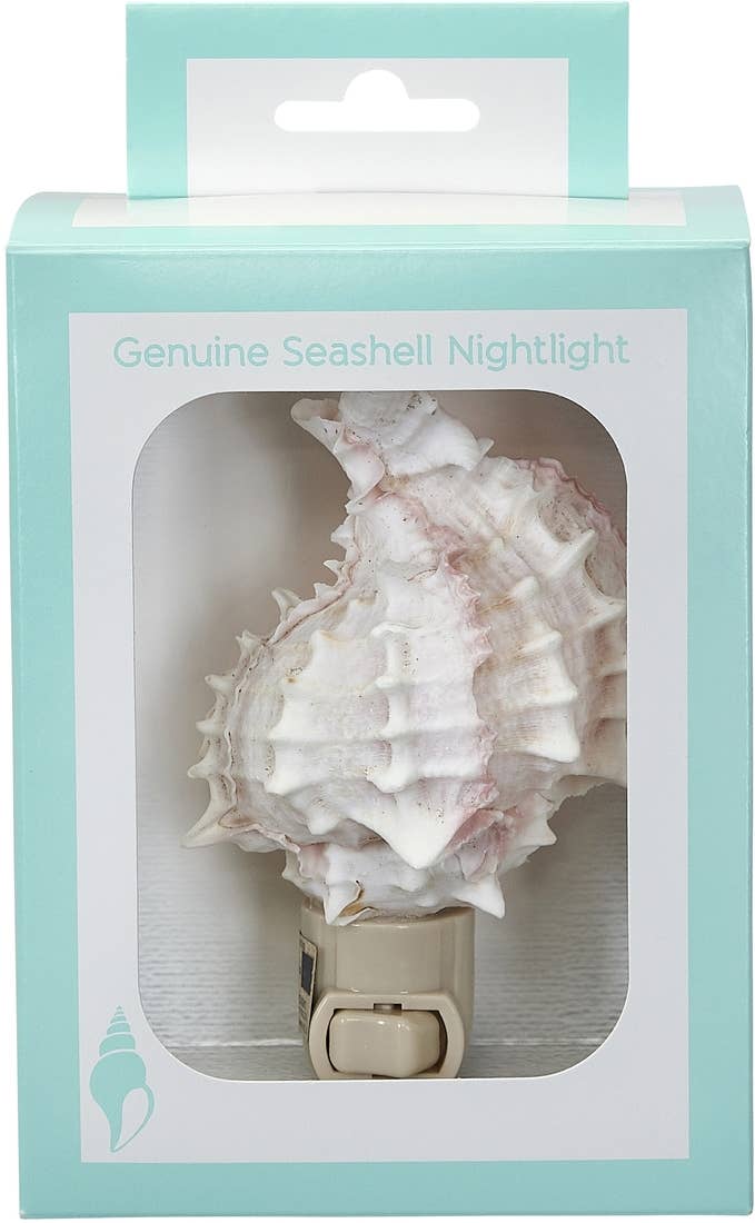 Pink Murex Night Light