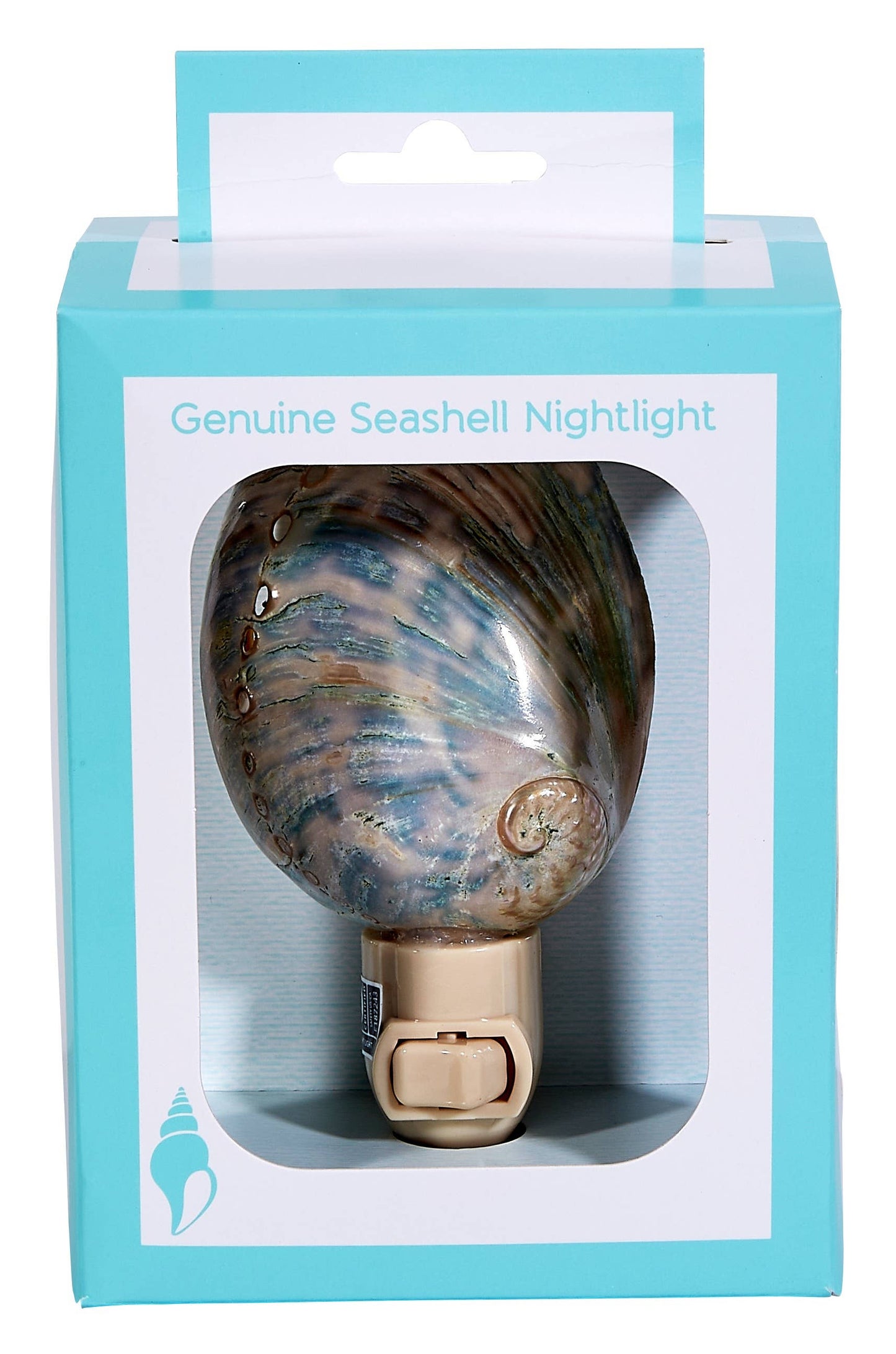 Polished Greenlip Abalone  Night Light