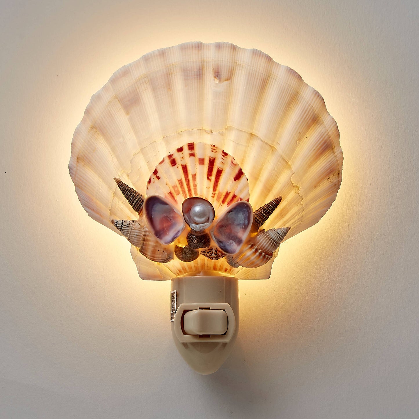 Irish Deep w/ Clam Crown Night Light