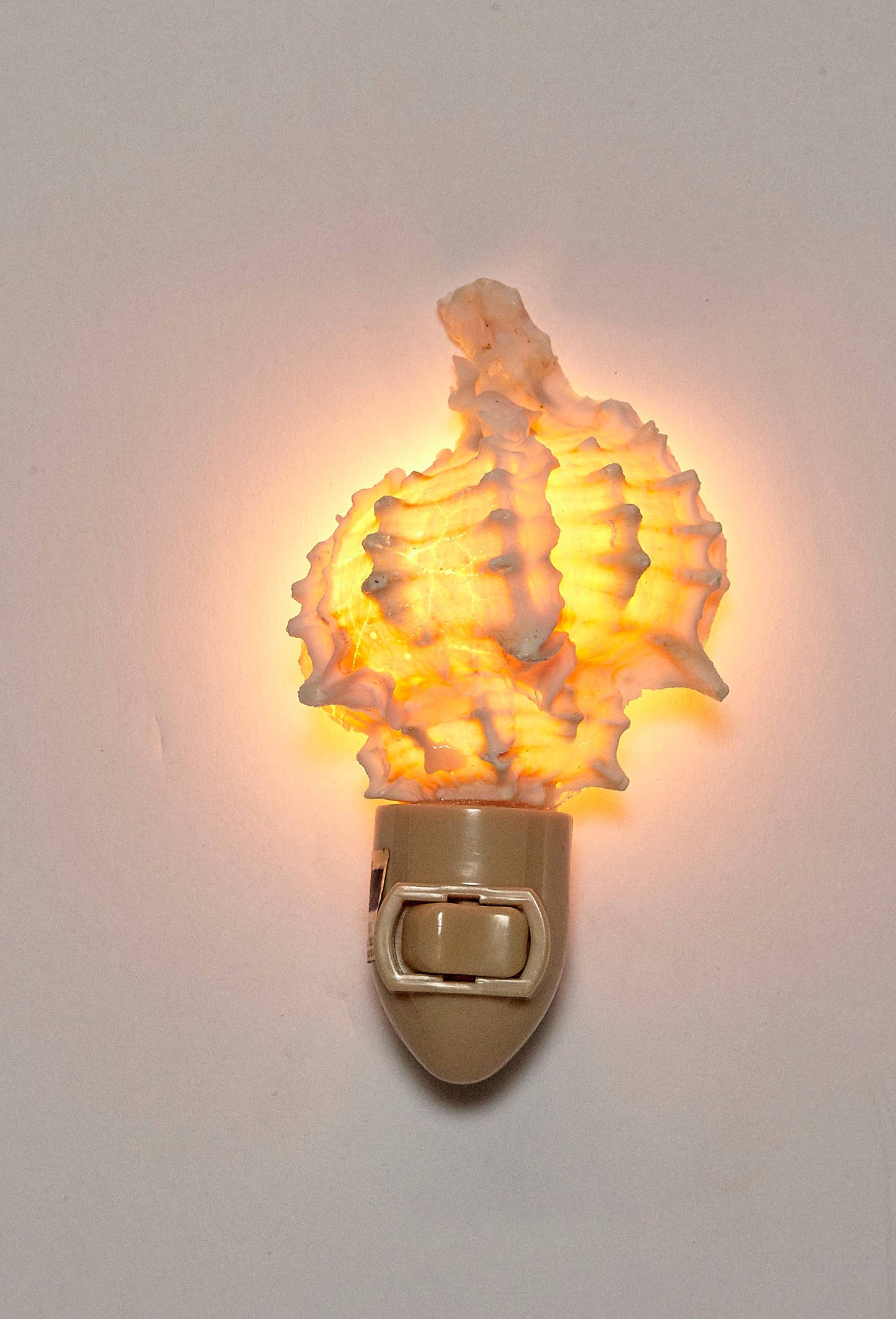 Pink Murex Night Light