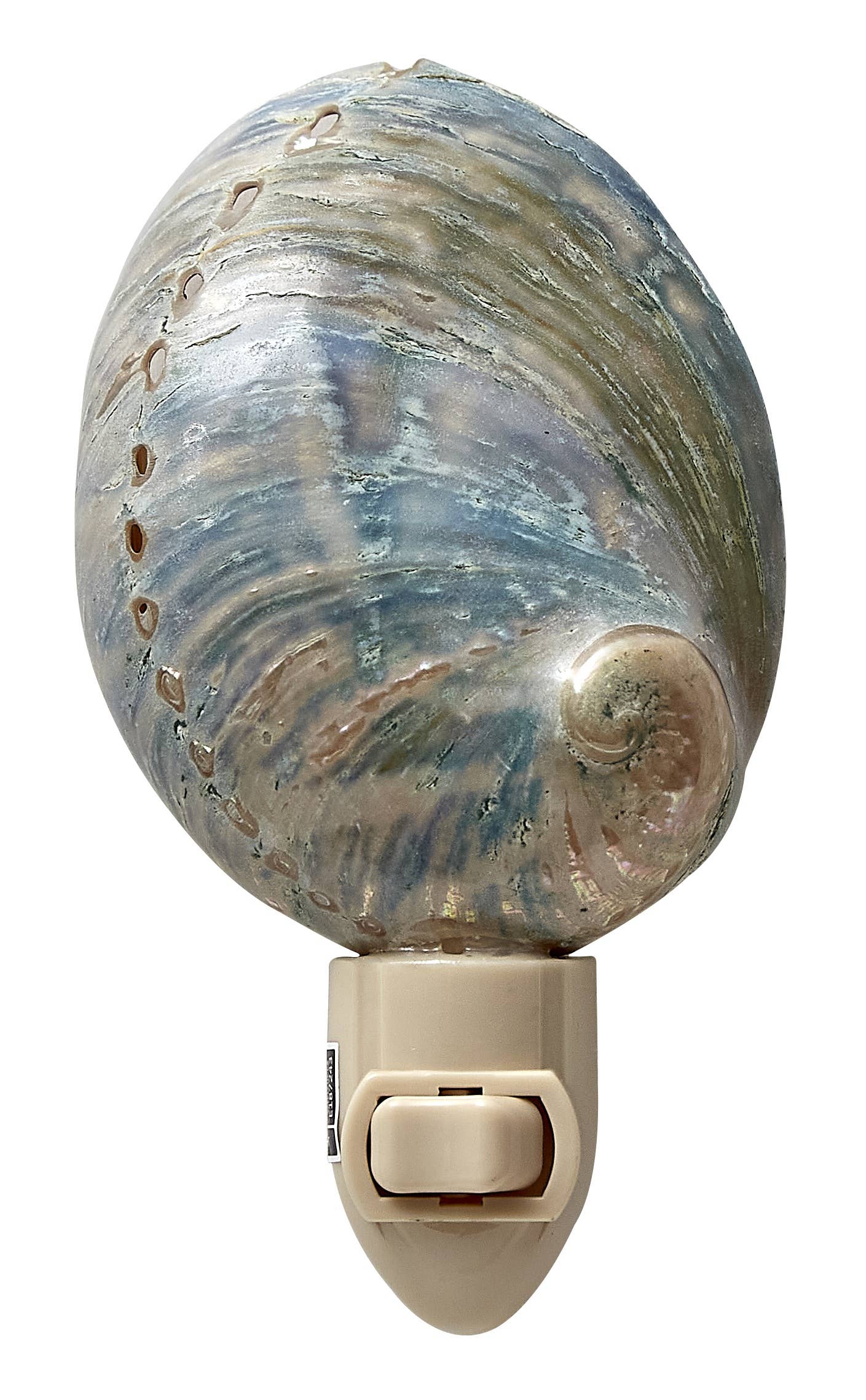 Polished Greenlip Abalone  Night Light